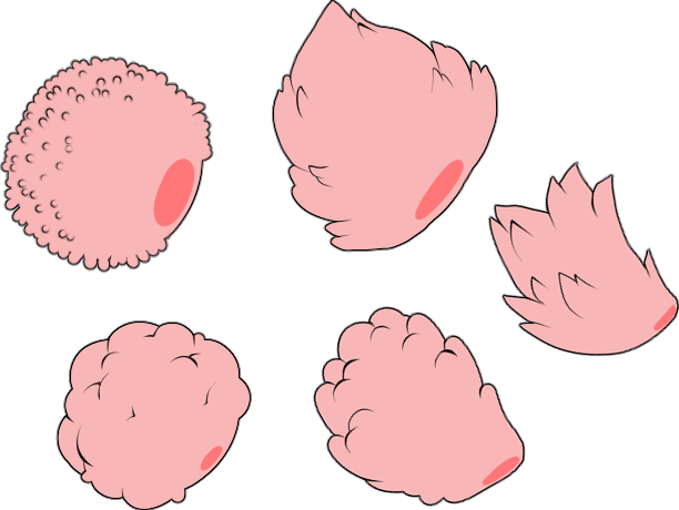 pom%20pom%20tail%20types.png